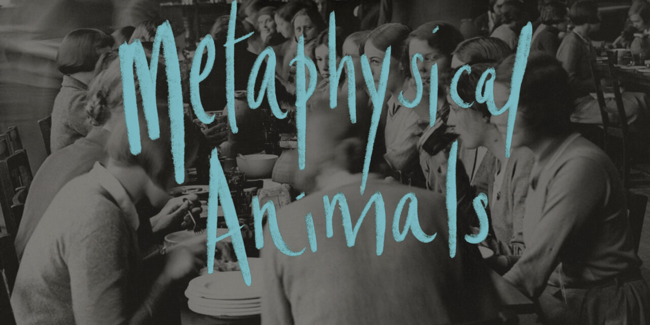 Metaphysical Animals and Mapping the Quartet launch!